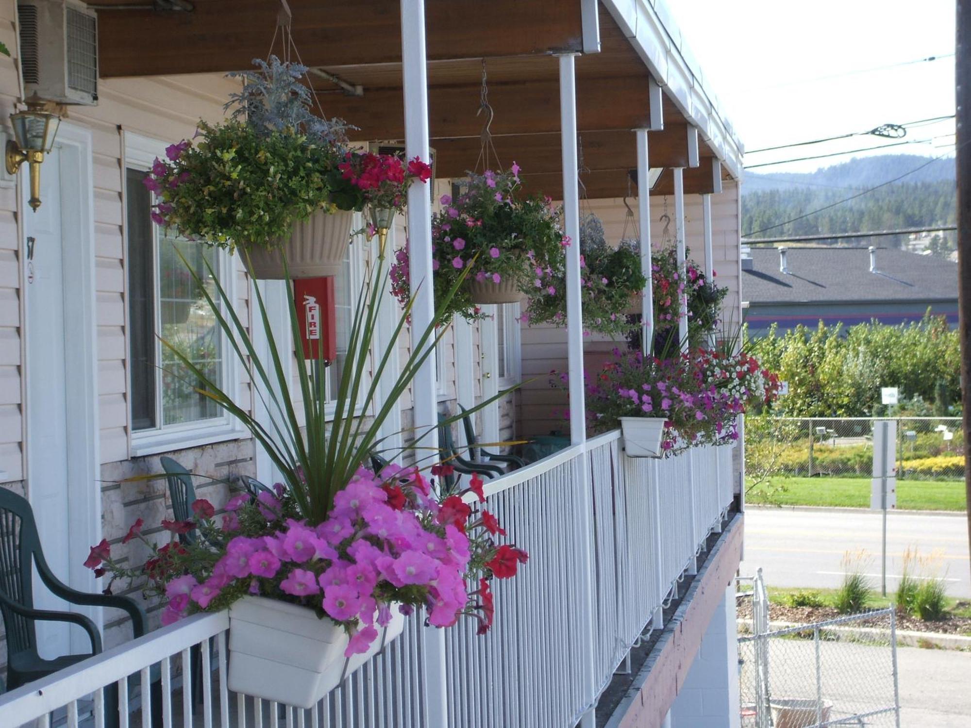 Travellers Motel Cranbrook Exterior foto